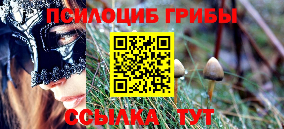 Псилоцибиновые грибы Psilocybine cubensis  сколько стоит  Жуковский  Галлюциногенные грибы прущие грибы 