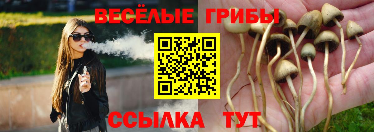 Галлюциногенные грибы GOLDEN TEACHER  Вход с VPN  Жуковский 