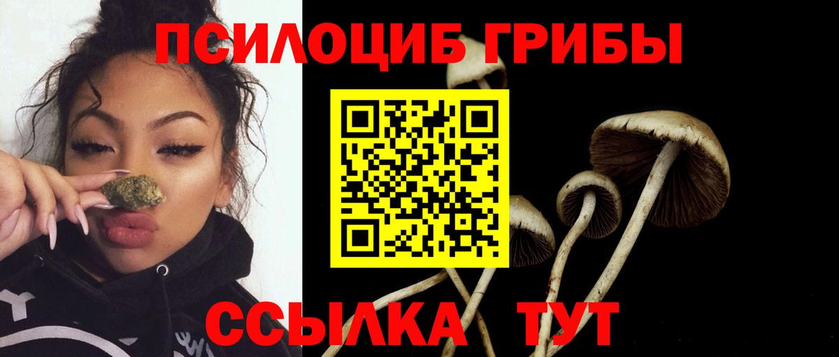 Галлюциногенные грибы мицелий Жуковский